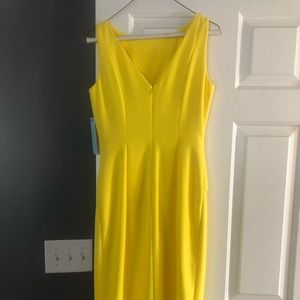 SIZE 2.. Antonio Melani Dress
